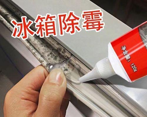 快速去除冰箱密封条霉点的方法（简单实用的清洁技巧让你的冰箱焕然一新）