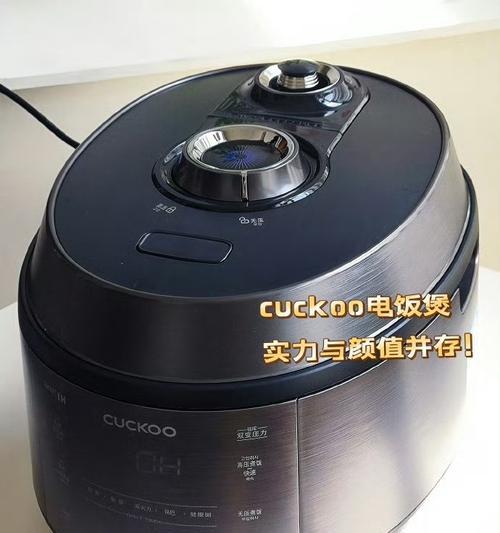 电饭煲外皮过热问题的原因及解决方法（电饭煲外皮过热现象频发）