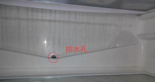 冰箱胶条坏了的原因及解决方法（探究TCL冰箱胶条损坏的原因和如何解决）