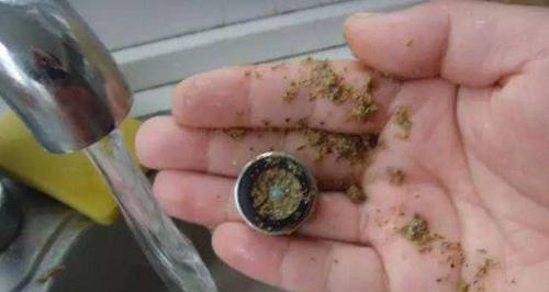 解决净水器水龙头出现绿苔问题的方法（有效清洁与维护）