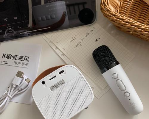 酒吧话筒与音箱的连接方法是什么？调试步骤有哪些？