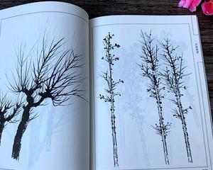 平板电脑白描画本的使用方法是什么？